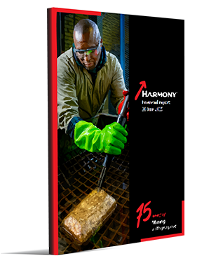 Financial report 2025