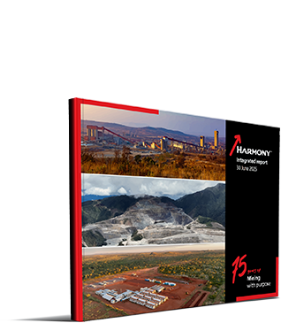 Integrated report 2025