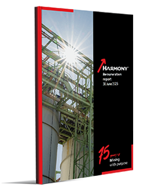 Remuneration report 2025