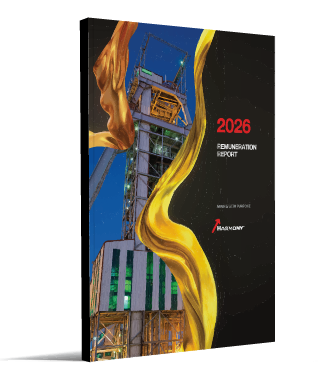 Remuneration report 2026